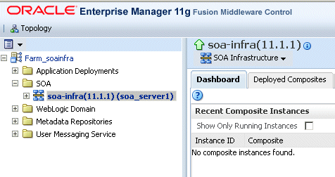 soa infra node