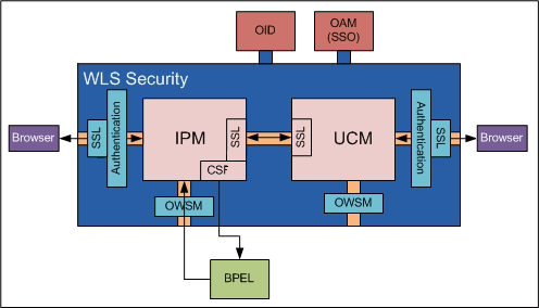 Graphic of Oracle I/PM Security
