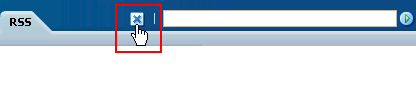 Close (page) button
