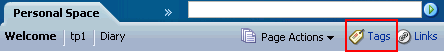 Page’s Tags icon and link