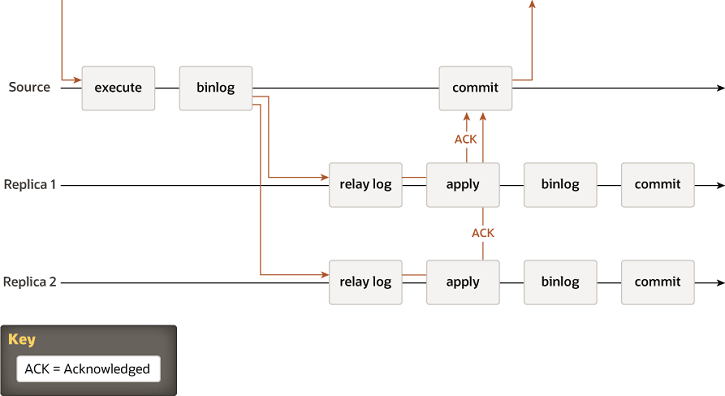 A transaction received by the source is executed and written to the binary log. The record from the binary log is sent to the relay logs on Replica 1 and Replica 2. The source then waits for an acknowledgement from the replicas. When both of the replicas have returned the acknowledgement, the source commits the transaction, and a response is sent to the client application. After each replica has returned its acknowlegement, it applies the transaction, writes it to the binary log, and commits it. The commit on the source depends on the acknowledgement from the replicas, but the commits on the replicas are independent from each other and from the commit on the source.
