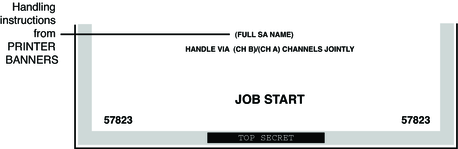 image:Graphic shows the PRINTER BANNERS output at the bottom of a banner page for a government site.
