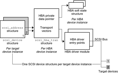 image:Diagram shows the relationships of structures involved in the HBA transport layer.