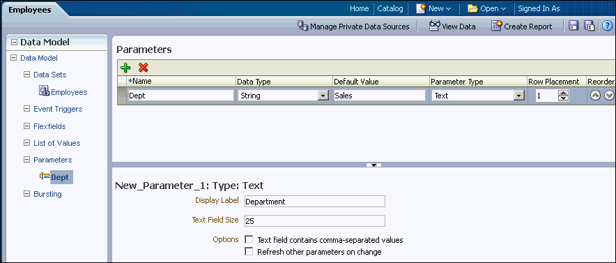Text Parameter Definition