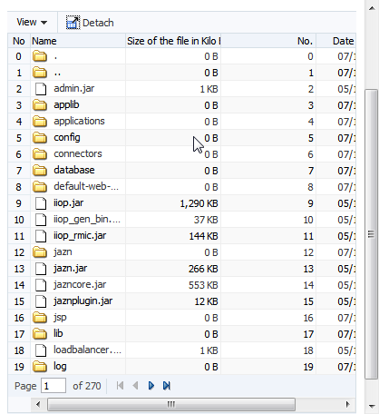 Paginated Table in Compact Mode