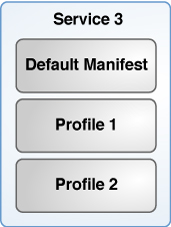 image:Shows one install service with two profiles.