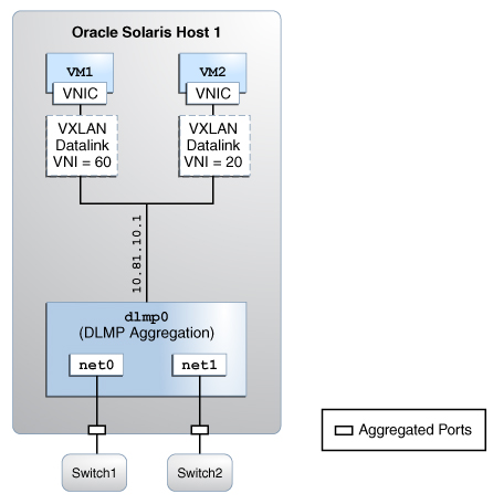 image:This figure illustrates configuring VXLANs over DLMP                         aggregation.