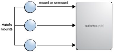 image:This graphic illustrates that the autofs service starts the automount command.
