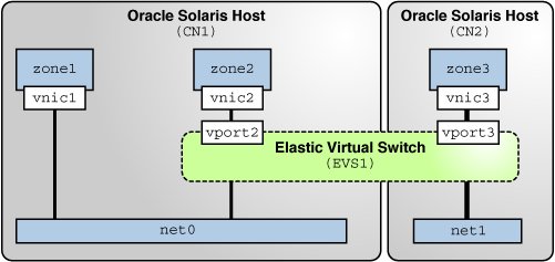 image:This figure shows the network virtualization setup.