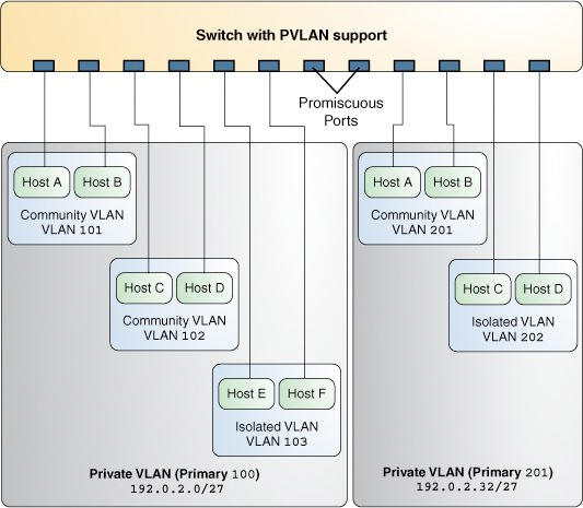 image:Graphic shows two PVLANs on a switch that supports PVLANs