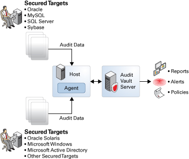 image:Graphic shows how Oracle Solaris and Audit Vault work              together to handle alerts and create reports according to audit policy.