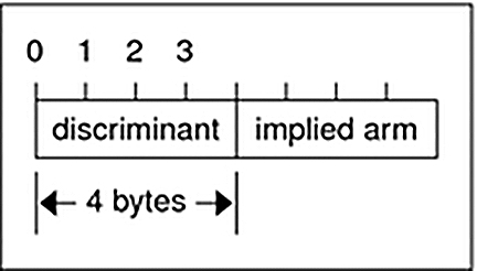 image:Graphic illustrates discriminated union                 encoding