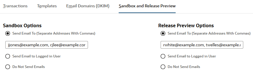 Sandbox and Release Preview subtab with Send Email To options selected.