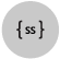 SuiteScript image
