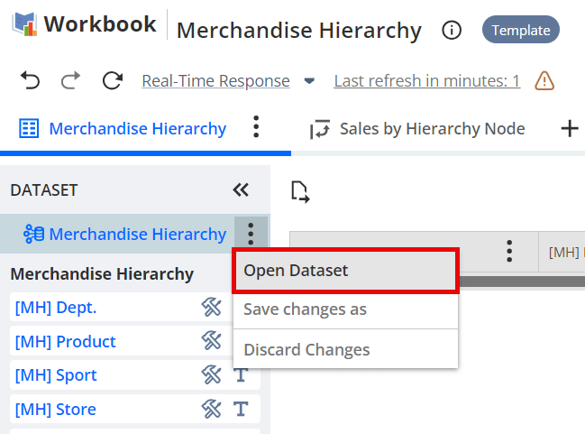 Open Dataset Link in the Merchandise Hierarchy Workbook.