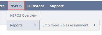NSPOS tab in NetSuite ERP