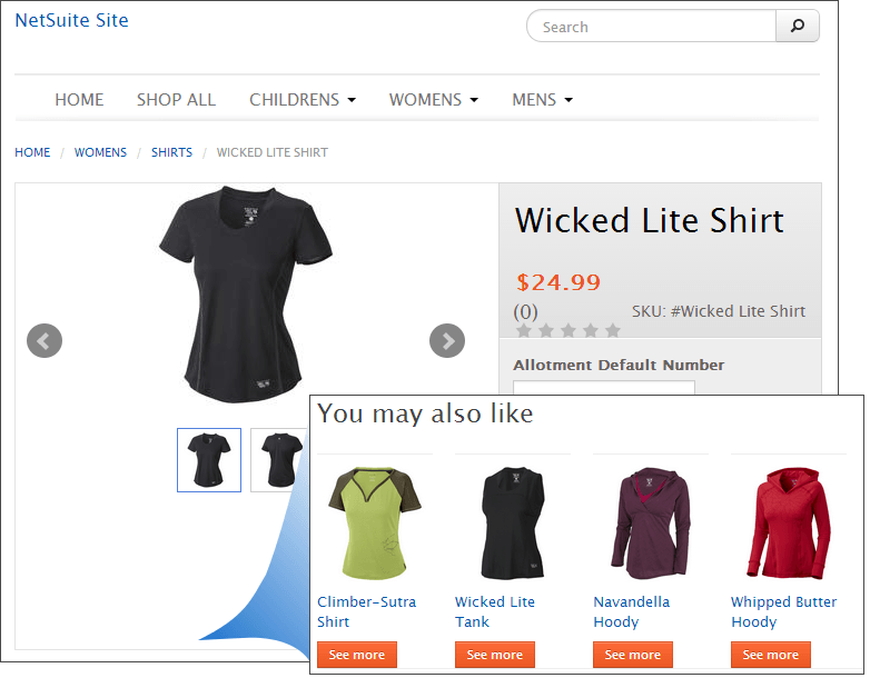 Display of correlated and related items