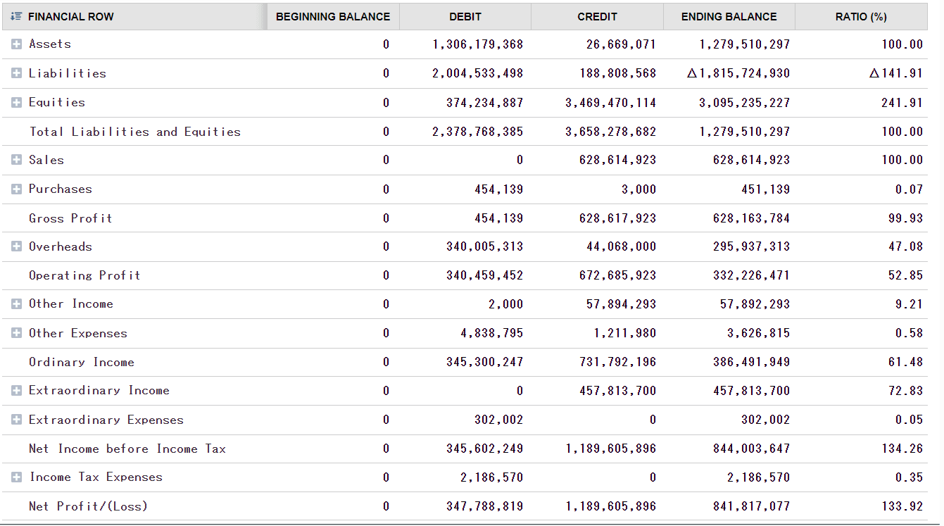 Trial Balance New Sample