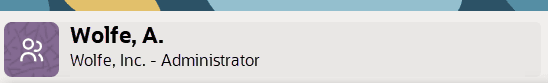 Screenshot of your name and role in top right of any NetSuite page.