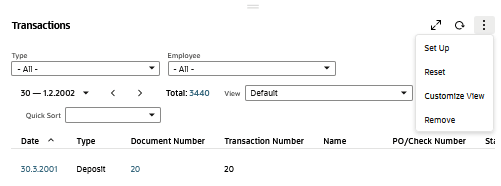 Customize View option