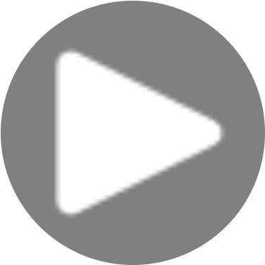 Run Report icon