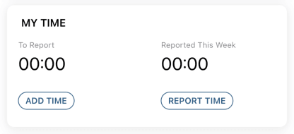 NetSuite for iOS My Time portlet