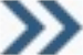 Screenshot of the NetSuite for iOS Double Arrow icon