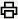 Print icon.