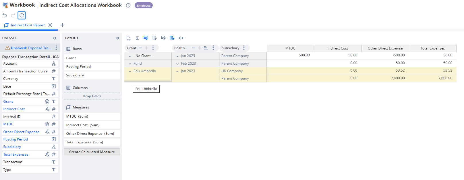 A preview of the Workbook showing ICA transactions grouped according to grant, posting period and subsidiary