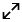 Double Arrow icon