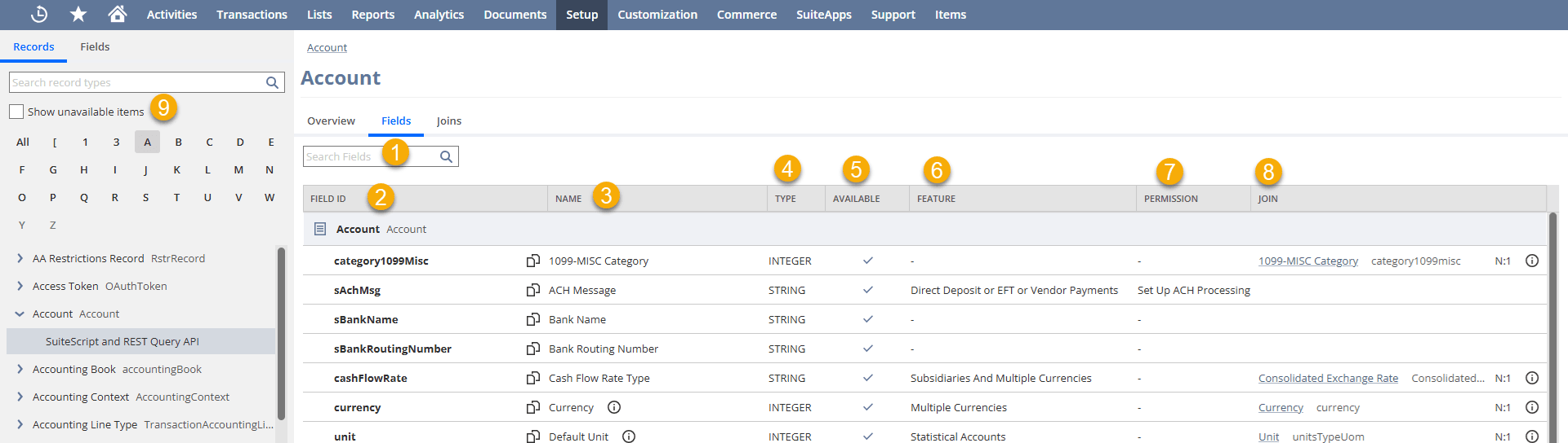 An example of available fields in SuiteScript Analytic API for the Account Record Type.