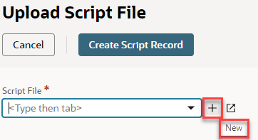 Upload Script File page with the New button highlighted.