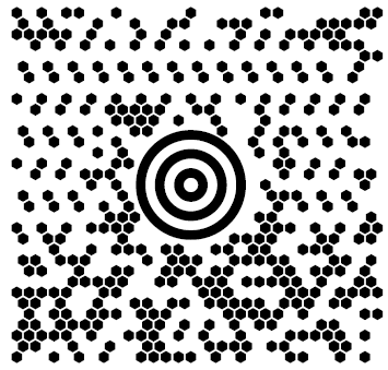 Sample maxicode barcode
