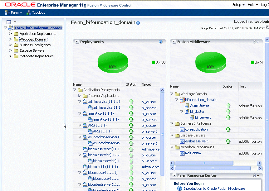 Fusion Middleware Control bifoundation_domain page