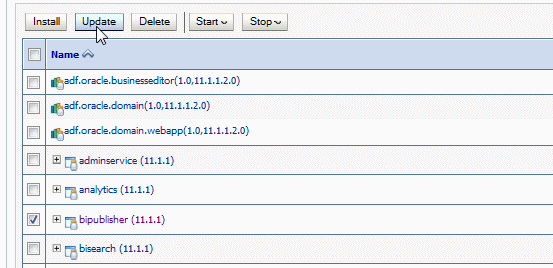 Update the bipublisher application