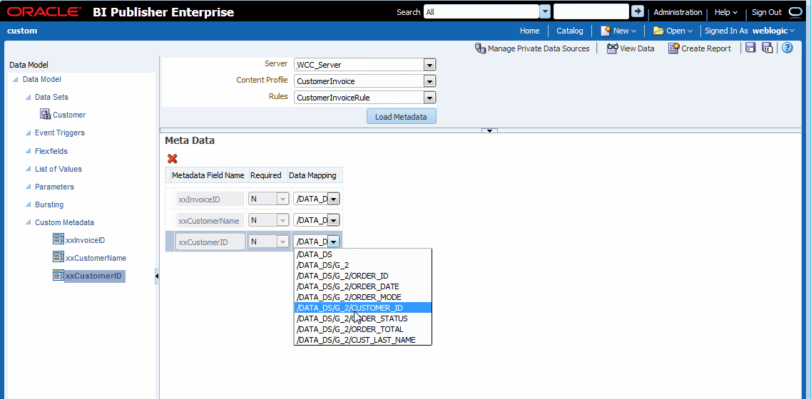 Mapping a metadata field