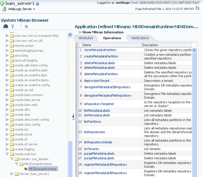 Description of mds_mbean.gif follows