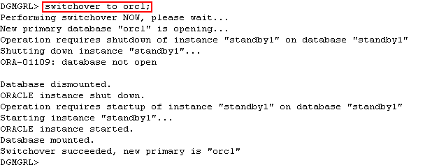 Description of revert_switchover_dg.gif follows