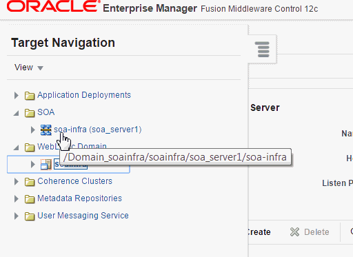 SOA > soa-infra node in the target navigation tree.