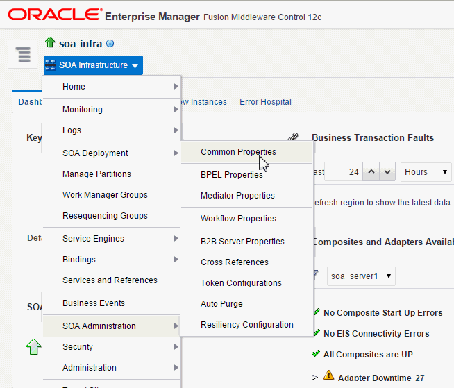 SOA Infrastructure Common Properties